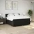 Vidaxl Box spring postelja z vzmetnico črn 200x200 cm blago
