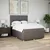 Vidaxl Box spring postelja z vzmetnico taupe 140x190 cm blago
