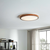 Globo 41764-24 - LED plafonsko svetlo BRUNO LED/24W/230V 437 mm 3000/4500/6000K