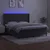 Krevet box spring s madracem LED tamnosivi 160x200 cm baršun