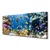 tulup.si Slika na platnu Barrier reef narava 120x60 cm