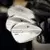 Golf palica Wedge Callaway Opus SP Chrome Leva roka, 10°, S, 58°, Stiff, Jeklo, True Temper Dynamic Gold Steel