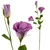 Mondex Umetna roža guma Viridis Eustoma 70cm zelena 1kos, (5000306794)