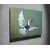 Wallity Slika na platnu 50x70cm