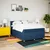vidaXL vidaXL Box spring postelja z vzmetnico modra 160x200 cm blago, (21305268)