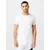 TOMMY HILFIGER Majica, bela