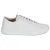Blackstone CG117-WHITE Bela