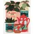 GRAINE CREATIVE Diamantno slikanje Rastline 40x50cm