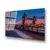 Wallity slika UV-171, 70 x 100 cm
