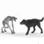 Wizarding World Werewolf vs Animagus - Harry Potter 14906