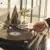 Audio-Technica LPW50PD gramofon