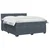 vidaXL Postelja boxspring z vzmetnico Temno siva 140 x 200 cm Žamet