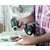 WIHA 42116 BitBuddy® TY set bitova, 49 mm Phillips, Pozidriv, Torx®, 8 delova 1/4