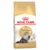 Royal Canin Breed Nutrition Persijska Mačka - 400 g