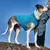 Kurgo Core pulover za pse Heather Blue L
