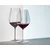 RIEDEL PERFORMANCE CABERNET/MERLOT Čaše za crveno vino, 2 komada, 834ml