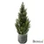 Cipresa 90cm z UV zaščito - 76 do 100 cm