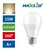 LED sijalica A65 E27/15W/230V 3000K