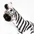 Safari Stepska zebra