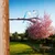 Aberto Design Dekorativna figura Bird on the branch 26, 20x50 cm, 1.5 mm, Plava