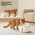 Meoof Fontana za pse, 5000 mAh, Bela