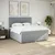 Vidaxl Box spring postelja z vzmetnico svetlo siva 200x200 cm blago