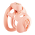 Sevanda Pink Pride Chastity Cage Long