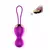 Vibrating Silicone Kegel Balls USB 7 Function Vibro Jaje