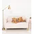 shumee Pasji pas Dexter 100 cm - rjav