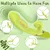SuperLove Inflatable G-Spot Rabbit Vibrator Lime