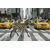 Slika zebra v New Yorku - 120x80