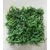 Lilijum Panel od vestackog zelenila za zeleni zid 50*50cm 569021
