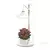 Emos LED lampa za uzgoj biljaka 7 W, 21 dioda, 450 lm, tajmer, drveno postolje, Z7905
