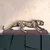 Livetastic Okrasni Predmet Leopard