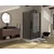 Tuš vrata Copen Absolut Black 100x200 sa pivot vratima (C-02-B6100)