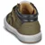 GBB DROLE Zelena