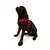 Paws & Whiskers Am za pse Air-Mesh, Crveni