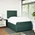 Vidaxl Box spring postelja z vzmetnico temno zelena 120x200 cm žamet