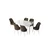 Hanah Home Set Trpezarijski sto i 6 stolica Zen, Braon-beli