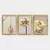 Wallity Set uramljenih slika 3AC_2563318 , 3 Dela