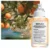 Maison Margiela Unisex toaletna voda Replica Never Ending Summer EDT, 100ml