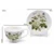 Komplet dveh porcelanastih skodelic Bele vrtnice - Kraljica Izabela 250 ml