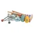 Free2Play 5v1 moj prvi glasbeni set (80586)