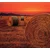 Fototapeta bale sena - 294x270