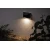 Paulmann 94233 - LED/0,05W IP44 Solarno zidno svetlo ELLIOT 1,2V