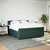 Vidaxl Box spring postelja z vzmetnico temno zelena 180x200 cm žamet