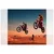 Fototapeta motoristi - 294x270