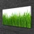 tulup.si Slika na platnu Grass nature rastlin 100x50 cm