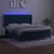 Vidaxl Box spring postelja z vzmetnico LED temno modra 160x200cm žamet