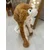 Kapa funny animals pumpica Vuk